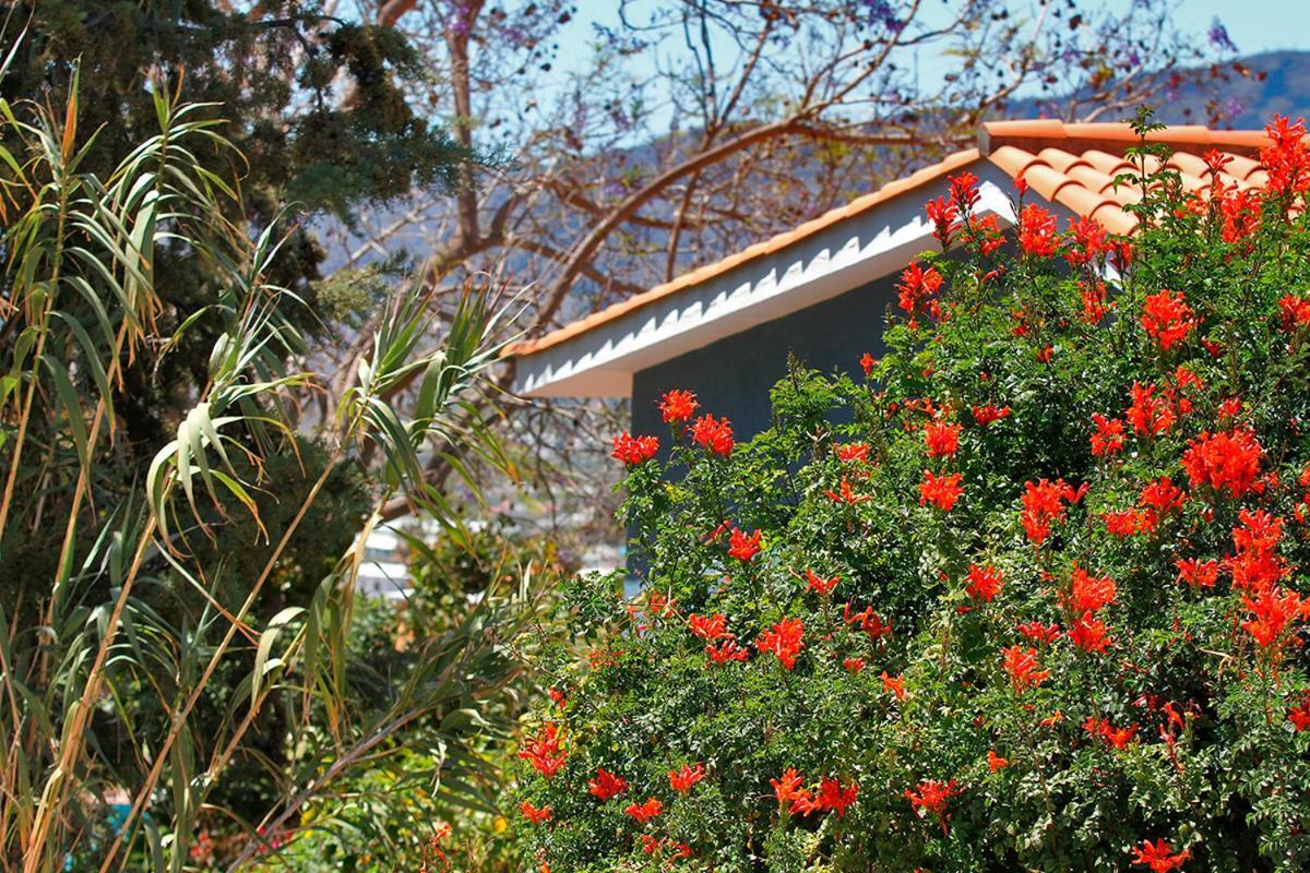 Casa Esther El Paso Exteriér fotografie
